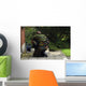 Soldier Belgian Army Investigating Wall Decal