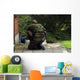 Soldier Belgian Army Investigating Wall Decal