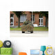 Recce or Scout Team Wall Decal Design 11