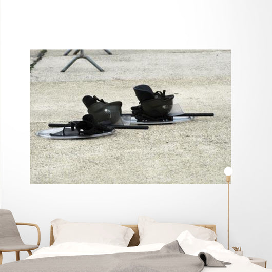 Helmet Shield and Baton Wall Decal