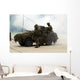 Recce or Scout Team Wall Decal Design 7