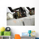 Cockpit Norwegian F16 Wall Decal Design 2