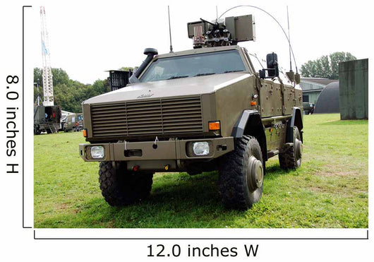Dingo Ii Vehicle Belgian Wall Decal