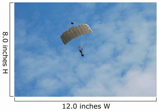 Paratrooper Belgian Army Air Wall Decal Design 2