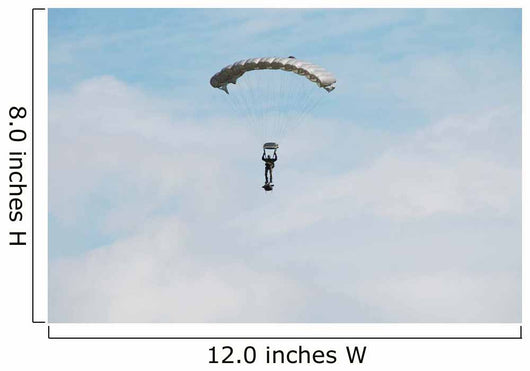 Paratrooper Belgian Army Air Wall Decal Design 1