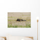 Belgian Paratroopers Guard Fields Wall Decal