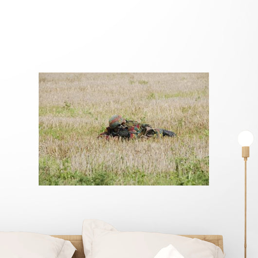 Belgian Paratroopers Guard Fields Wall Decal