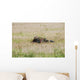 Belgian Paratroopers Guard Fields Wall Decal