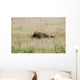 Belgian Paratroopers Guard Fields Wall Decal