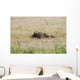 Belgian Paratroopers Guard Fields Wall Decal