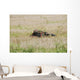Belgian Paratroopers Guard Fields Wall Decal