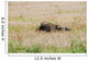 Belgian Paratroopers Guard Fields Wall Decal