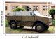 Multi-purpose Protected Vehicle Dingo Wall Decal Design 2