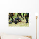 Soldiers Belgian Infantry Unit Wall Decal