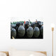 Training Session Riot and Wall Decal Design 2