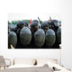 Training Session Riot and Wall Decal Design 2