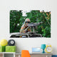 Belgian Army Soldier Handling Wall Decal