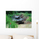 Leopard 1a5 Mbt Belgian Wall Decal Design 6