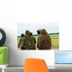 Members Special Forces Group Wall Decal