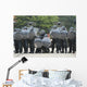 Belgian Infantry Soldiers Training Wall Decal Design 3