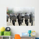 Belgian Infantry Soldiers Training Wall Decal Design 1
