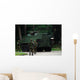 Belgian Infantry Soldiers Walk Wall Decal Design 1
