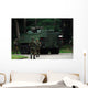 Belgian Infantry Soldiers Walk Wall Decal Design 1