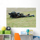 Belgian Soldiers Setting up Wall Decal Design 1