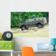 Dingo 2 Use Belgian Wall Decal Design 2