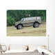 Dingo 2 Use Belgian Wall Decal Design 1
