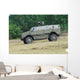 Dingo 2 Use Belgian Wall Decal Design 1