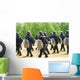 Infantry Soldiers Belgian Army Wall Decal Design 1