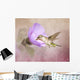 A Taste of Nectar Hummingbird Wall Mural