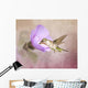 A Taste of Nectar Hummingbird Wall Mural