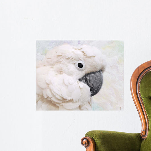Umbrella Cockatoo Portrait Wall Mural
