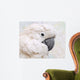 Umbrella Cockatoo Portrait Wall Mural