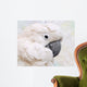 Umbrella Cockatoo Portrait Wall Mural