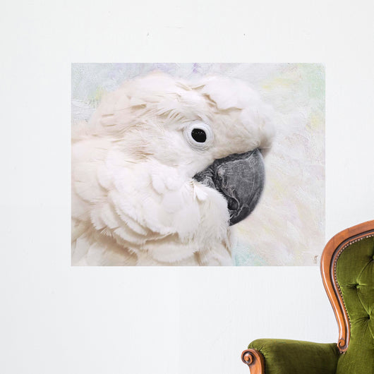 Umbrella Cockatoo Portrait Wall Mural