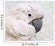 Umbrella Cockatoo Portrait Wall Mural