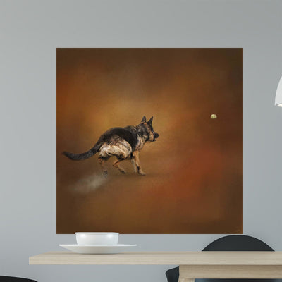 Gimme Ball German Shepherd Wall Mural shown on a wall