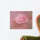 Pink Rose After The Storm Wall Mural