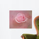 Pink Rose After The Storm Wall Mural