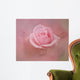 Pink Rose After The Storm Wall Mural