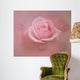Pink Rose After The Storm Wall Mural