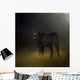 Black Angus Calf In The Moonlight Wall Mural