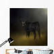 Black Angus Calf In The Moonlight Wall Mural