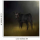 Black Angus Calf In The Moonlight Wall Mural