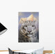 Snow Leopard Mountain Wall Decal
