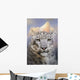 Snow Leopard Mountain Wall Decal