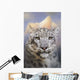 Snow Leopard Mountain Wall Decal